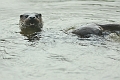 04 01 17_5297_edited-1